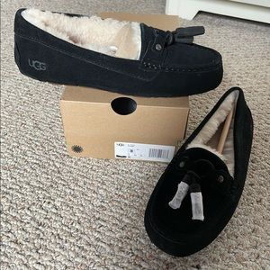 NWT uggs